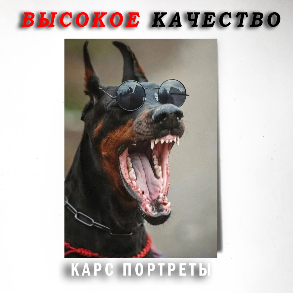 Доберман собака Постер Картина 40х60
