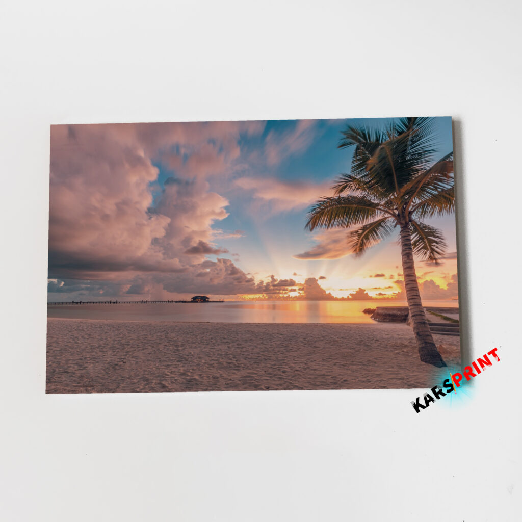 Пальмы солнце и море Постер Картины 60х40