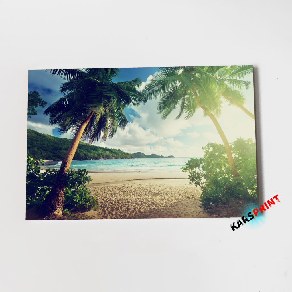 Пальмы солнце и море Постер Картины 60х40