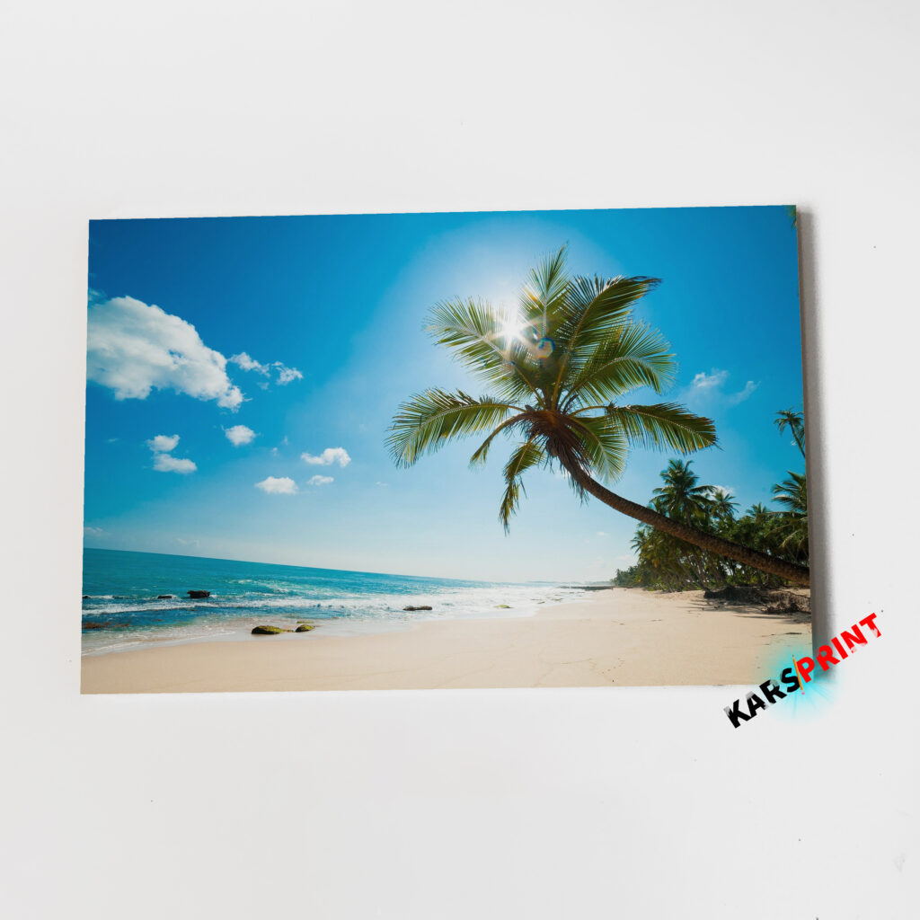 Пальмы солнце и море Постер Картины 60х40