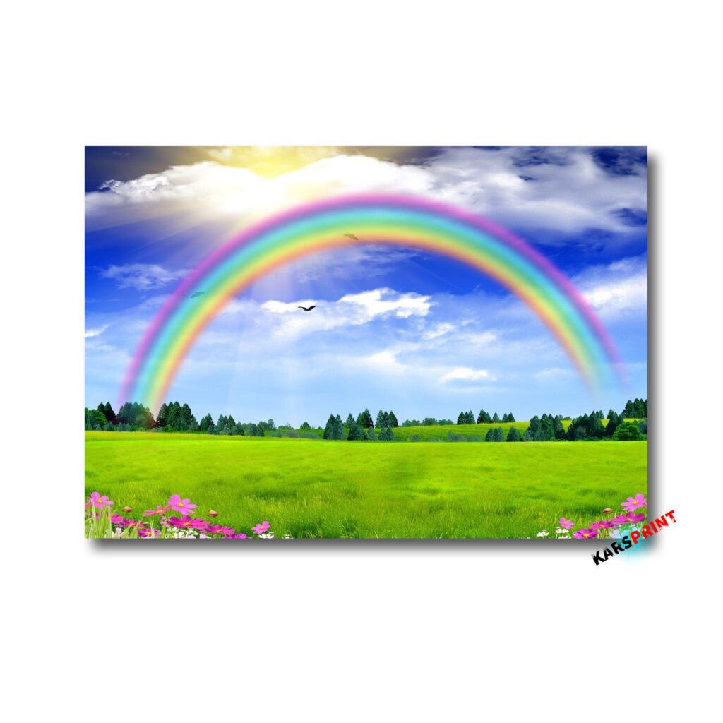 Радуга в поле Постер Картина 60х40