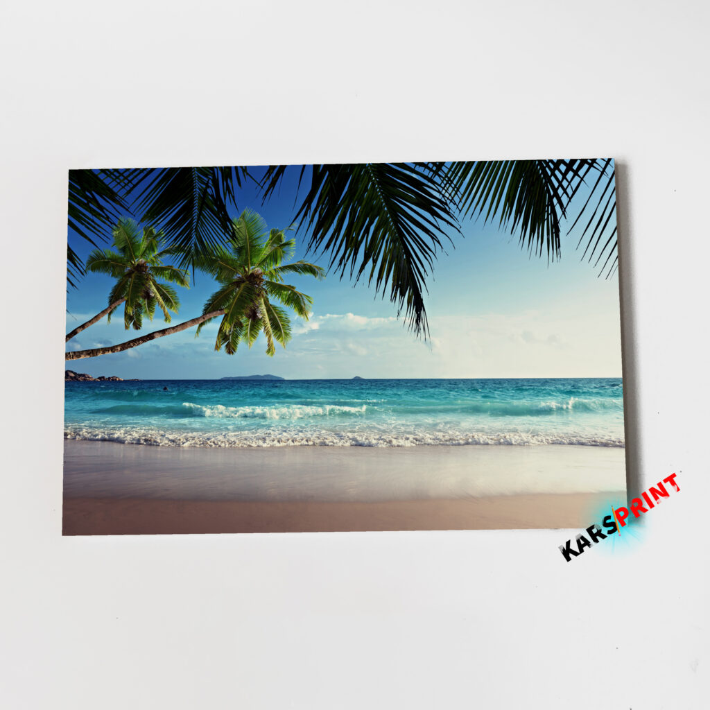 Пальмы солнце и море Постер Картины 60х40