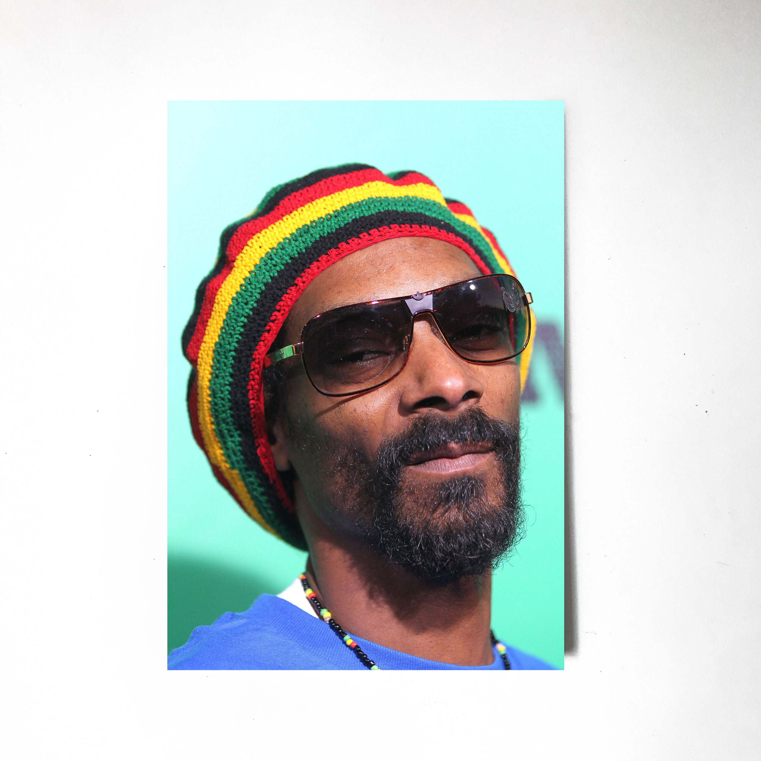 Снуп Дог рэпер Постер Картина 40х60