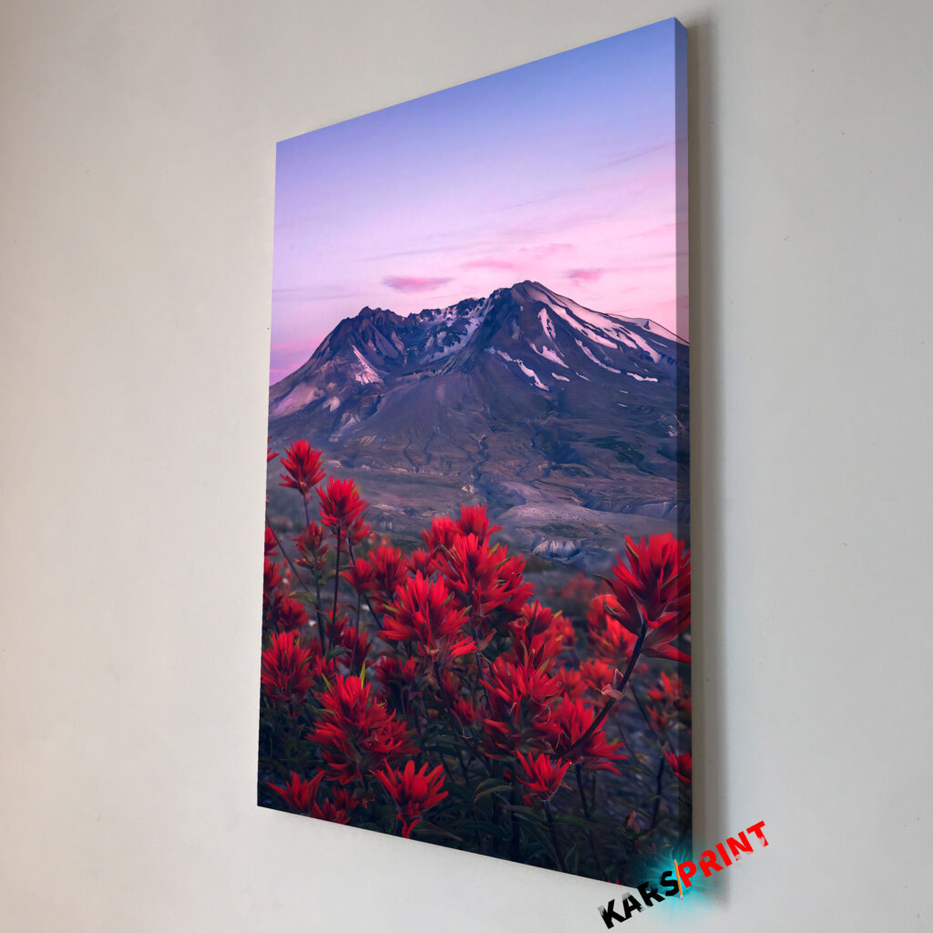 Красные цветы и горы Постер Картина 40х60