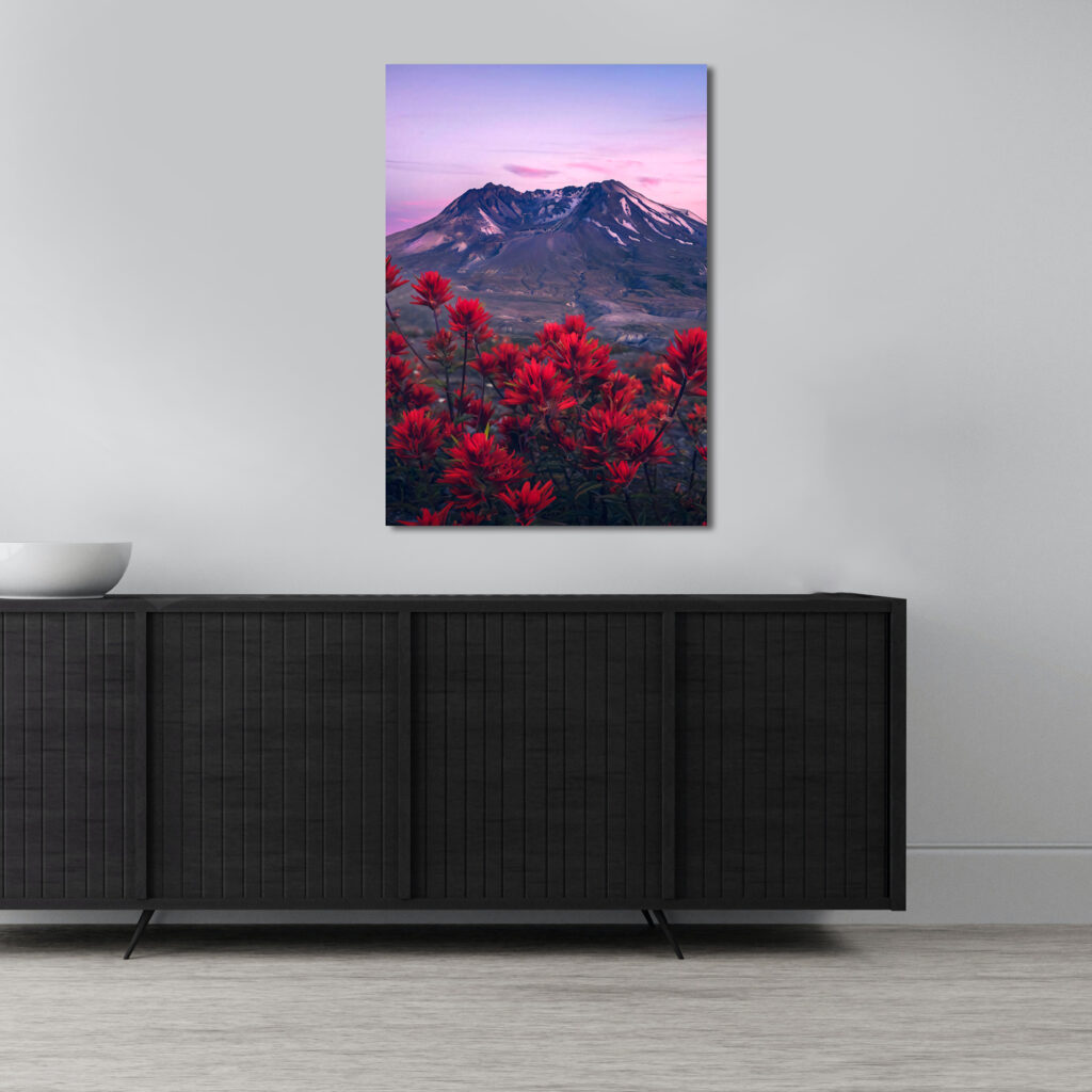 Красные цветы и горы Постер Картина 40х60