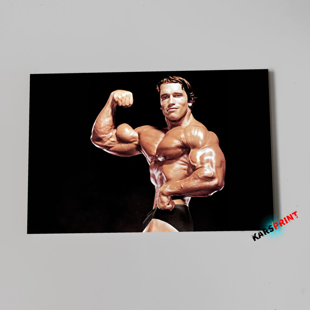 Арнольд Шварценеггер Постер Картина 70х50