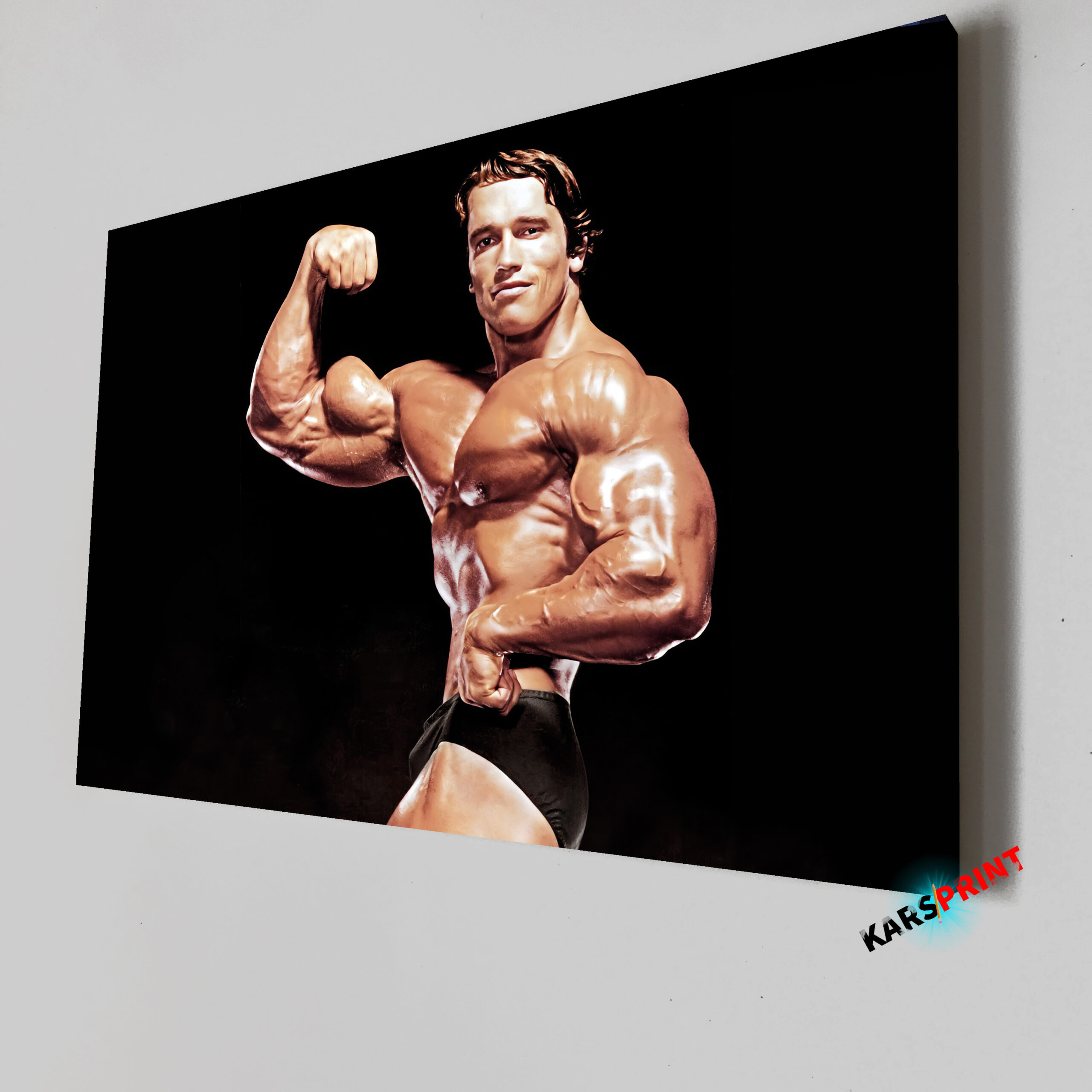Арнольд Шварценеггер Постер Картина 70х50